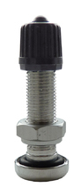 V1.10.1 Tubeless valve silver